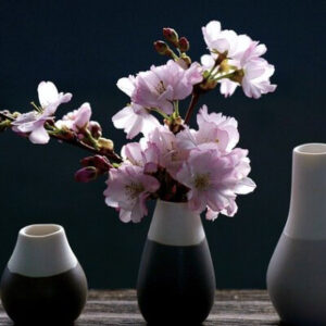 minimalist ev dekorasyonu